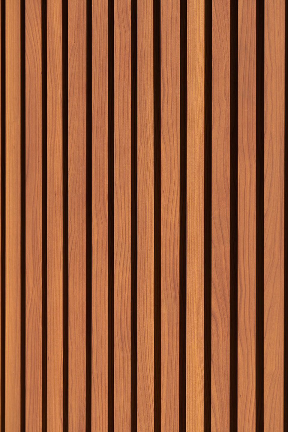 Singapore - Mount Sinai_JINO_2023_08